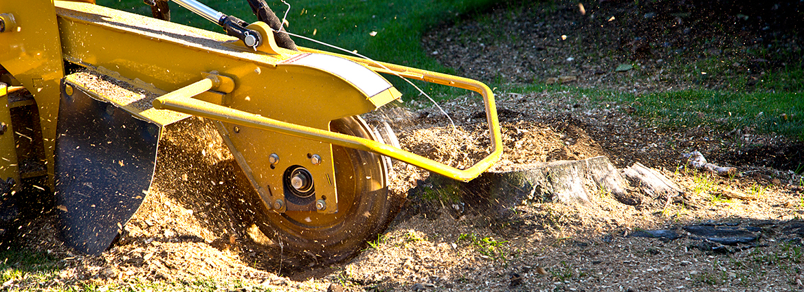 TN Stump Removal